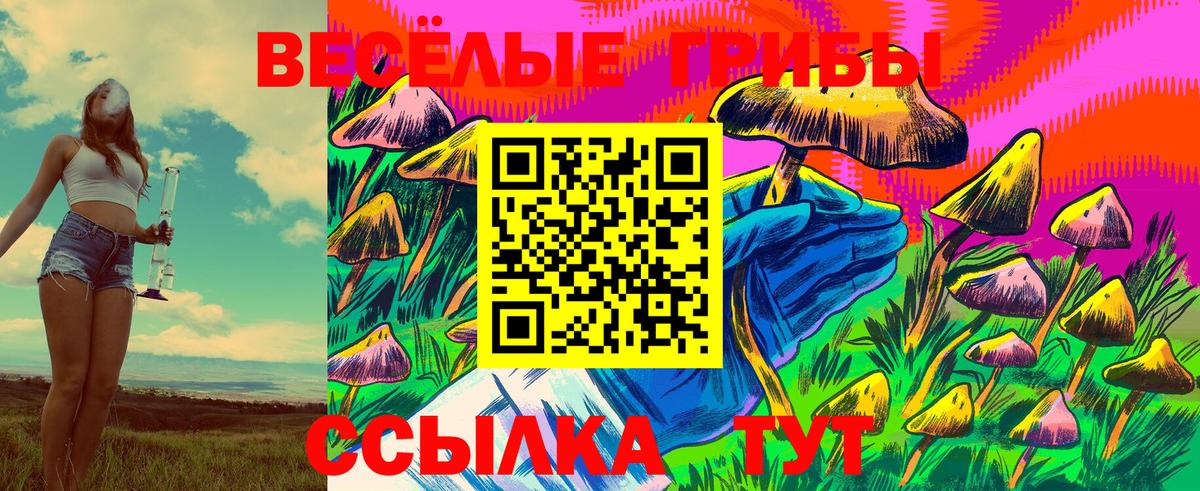 Псилоцибиновые грибы прущие грибы Россия