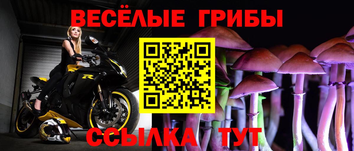 Псилоцибиновые грибы GOLDEN TEACHER  Галлюциногенные грибы мухоморы  Вход с VPN  Россия 